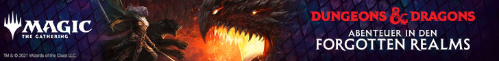 Abenteuer in den Forgotten Realms / Adventures in the Forgotten Realms