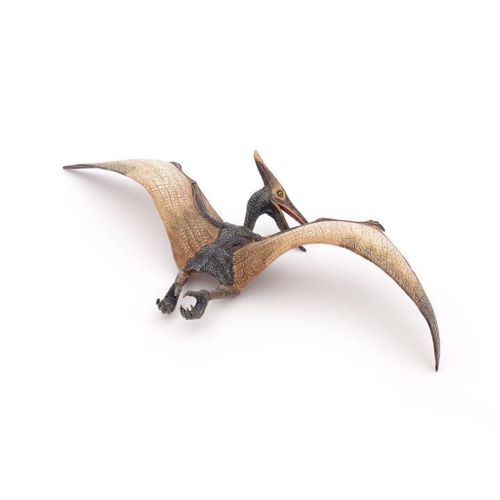 Dinosaurs: Pteranodon 23.5x9cm (55006)