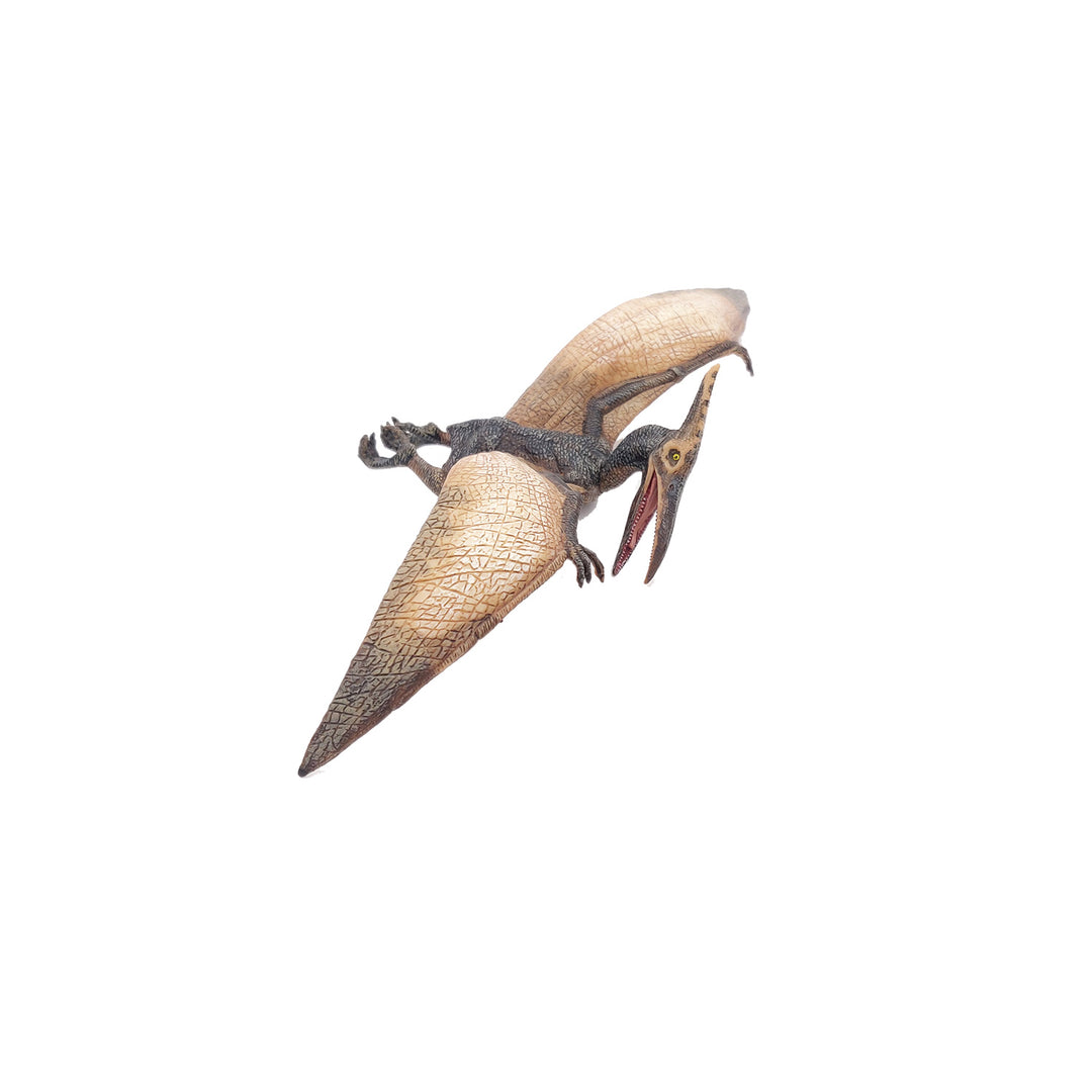 Dinosaurs: Pteranodon 23.5x9cm (55006)