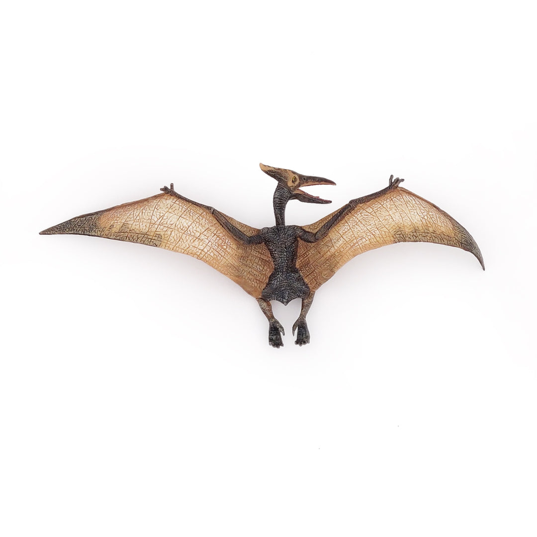 Dinosaurs: Pteranodon 23.5x9cm (55006)