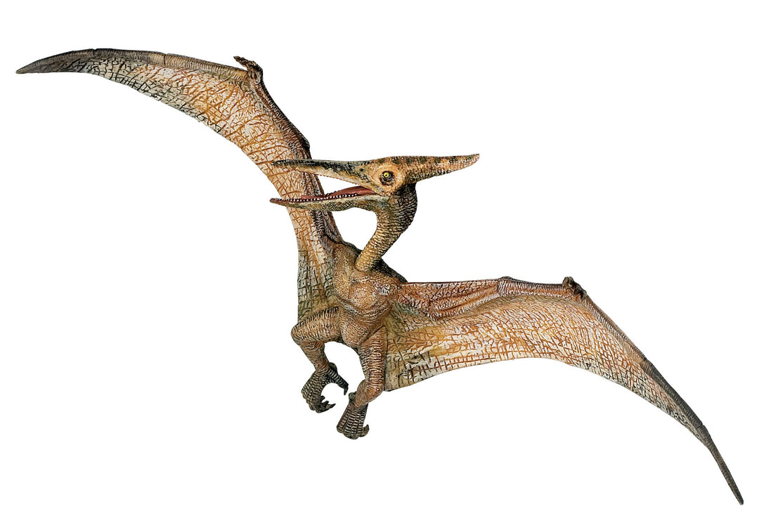 Dinosaurs: Pteranodon 23.5x9cm (55006)