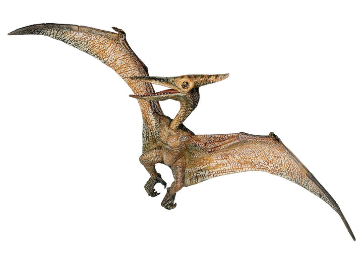 Dinosaurs: Pteranodon 23.5x9cm (55006)
