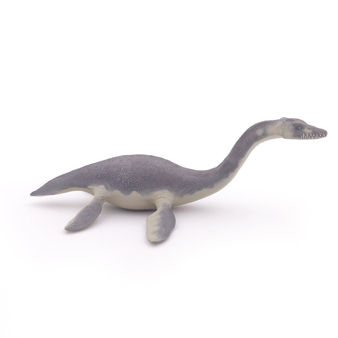 Dinosaurier: Plesiosaurier  ca.  22x13.5x8 cm (55021)