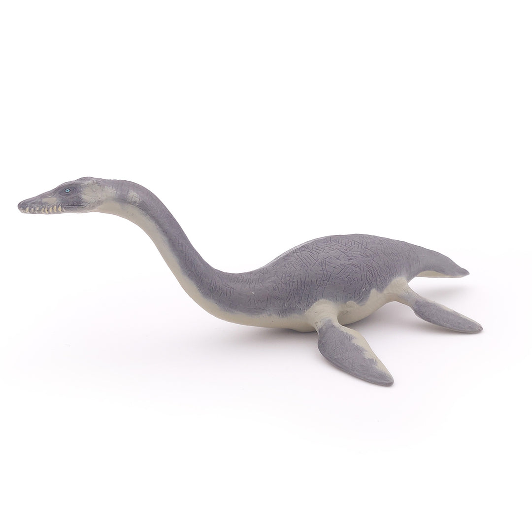 Dinosaurier: Plesiosaurier  ca.  22x13.5x8 cm (55021)