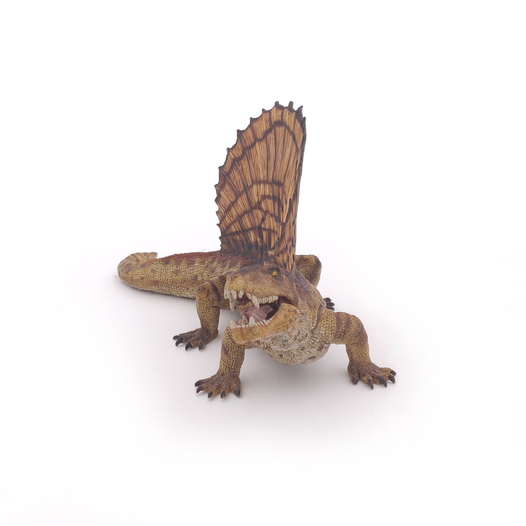 Dinosaurier: Dimetrodon ca.  16.5x7x7.8 cm (55033)