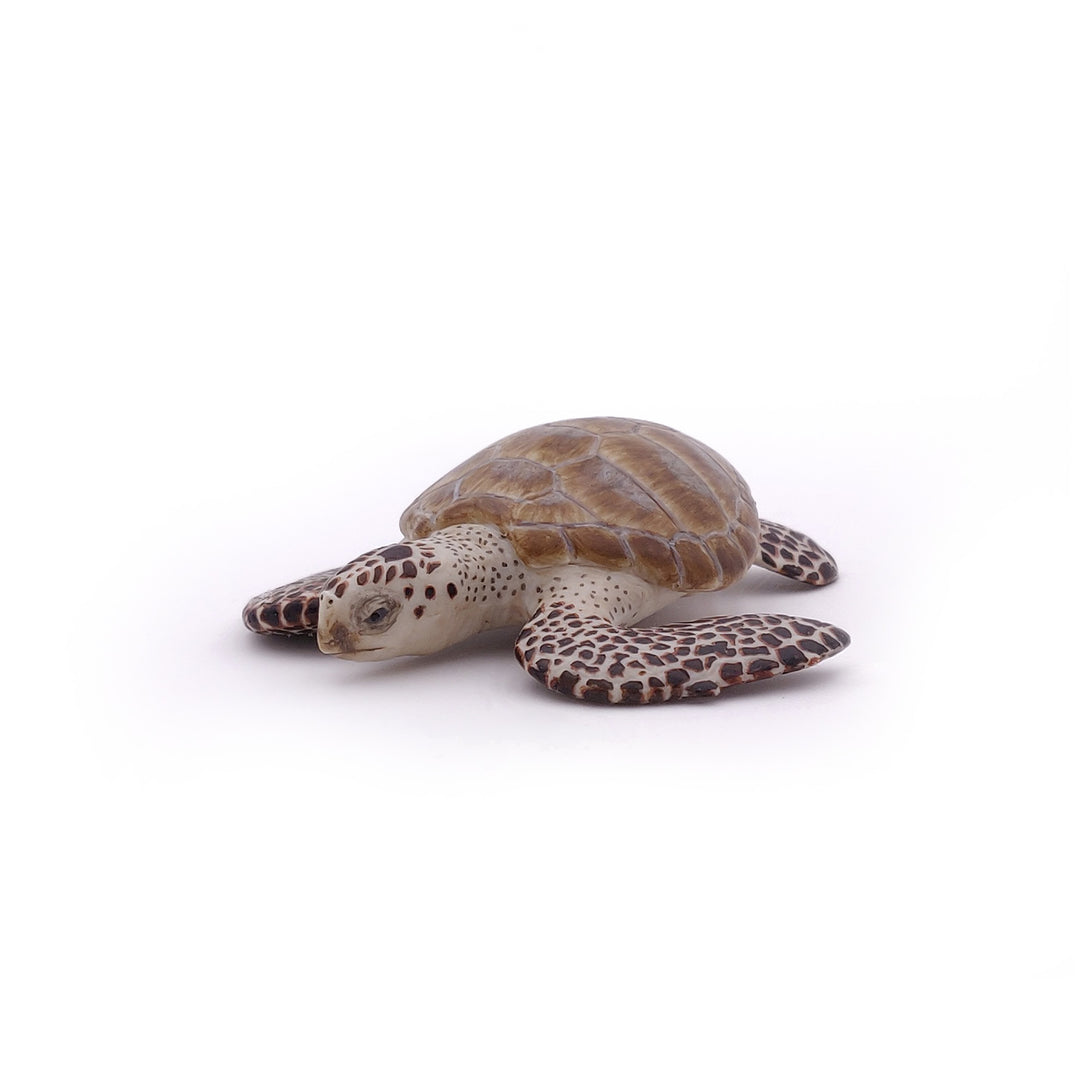 Meereswelt: Meeresschildkröte ca.7.7x2cm (56005)