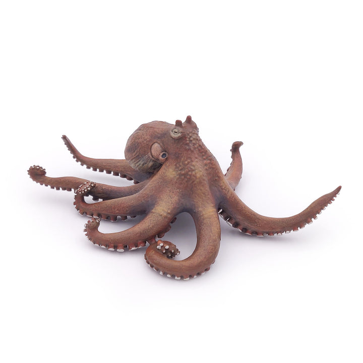 Meereswelt: Octopus 19x15x6.7 cm (56013)
