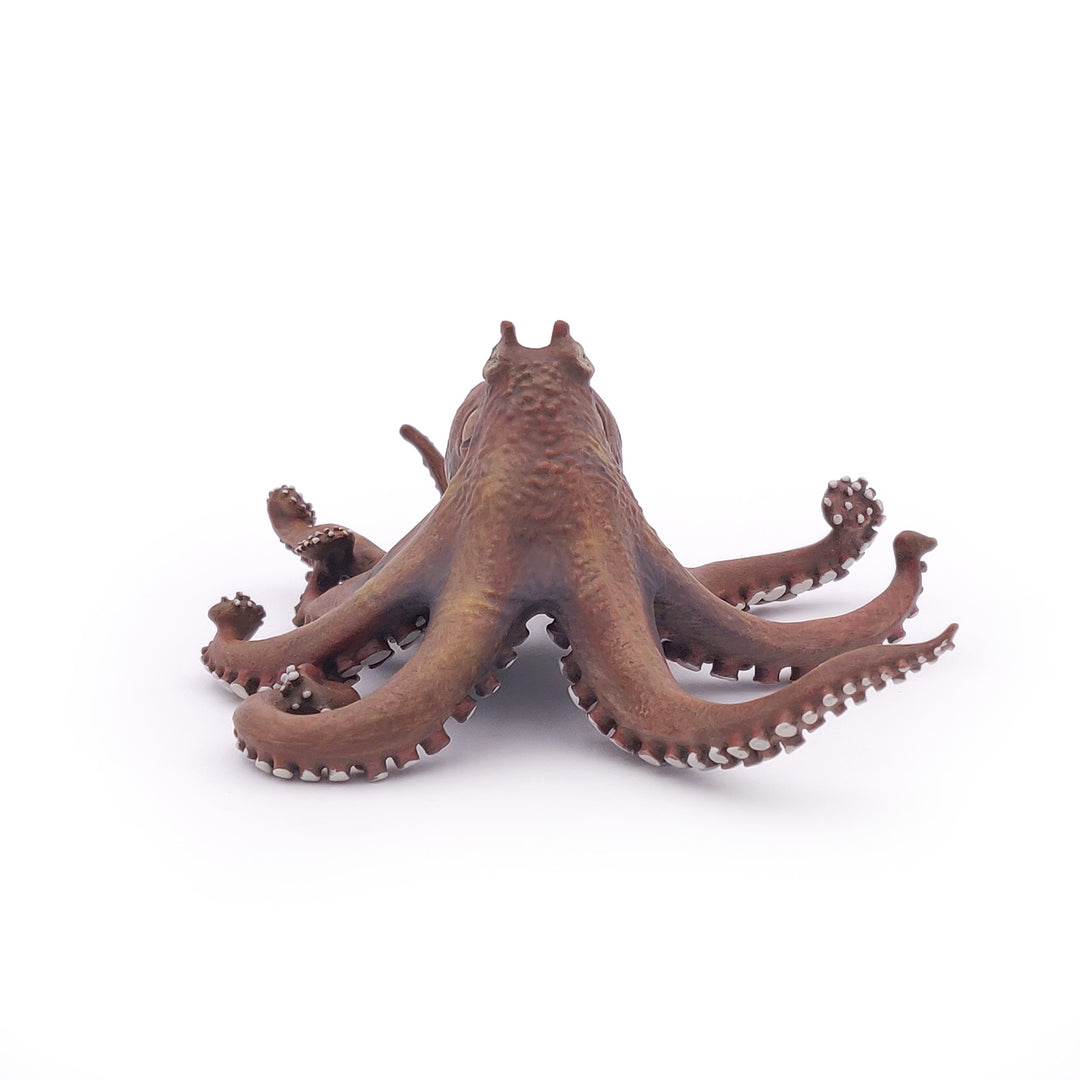 Meereswelt: Octopus 19x15x6.7 cm (56013)