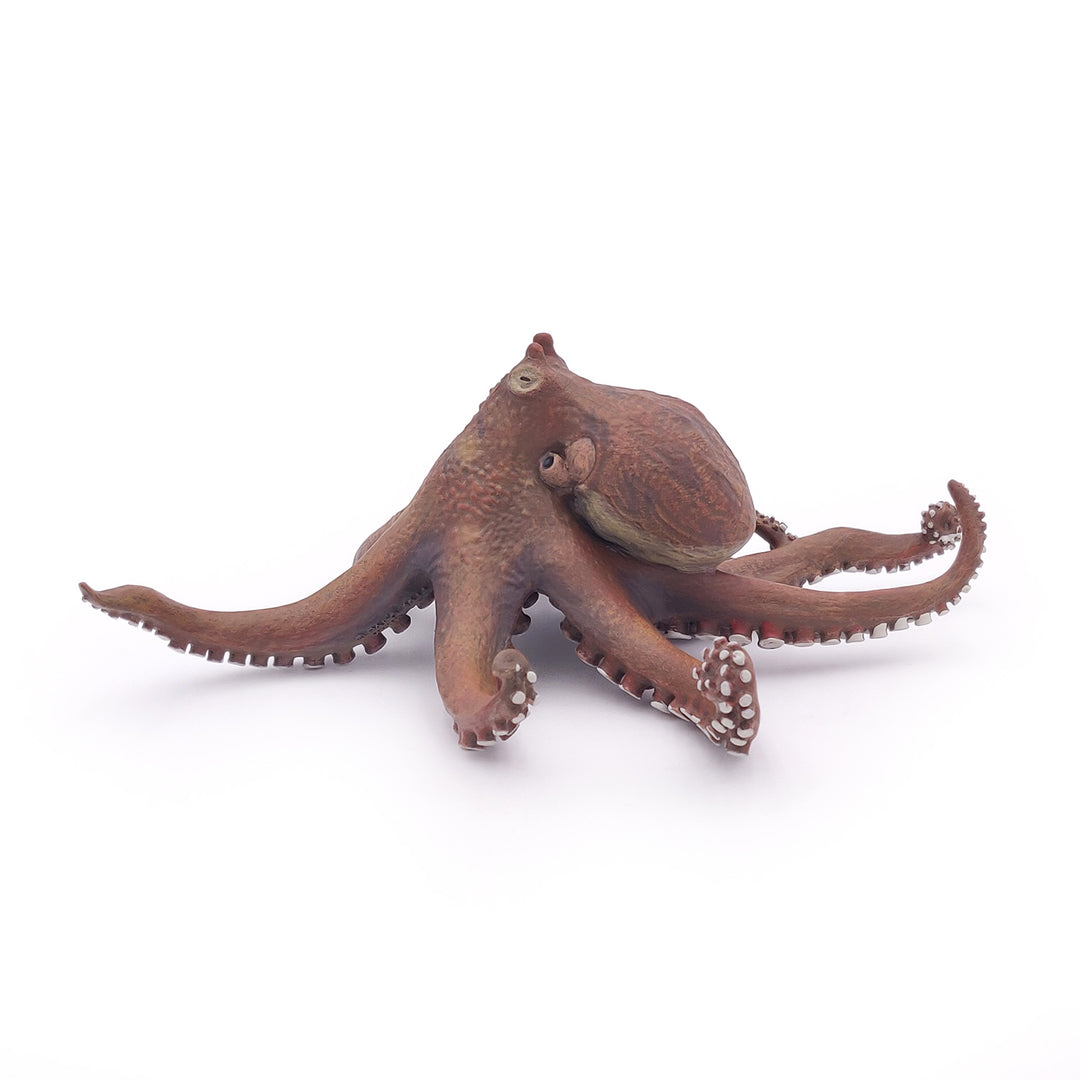 Meereswelt: Octopus 19x15x6.7 cm (56013)