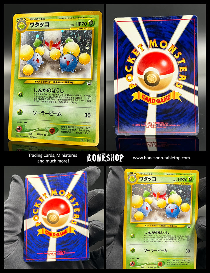 Pokemon „Jumpluff“ Holo | Neo Revelation 