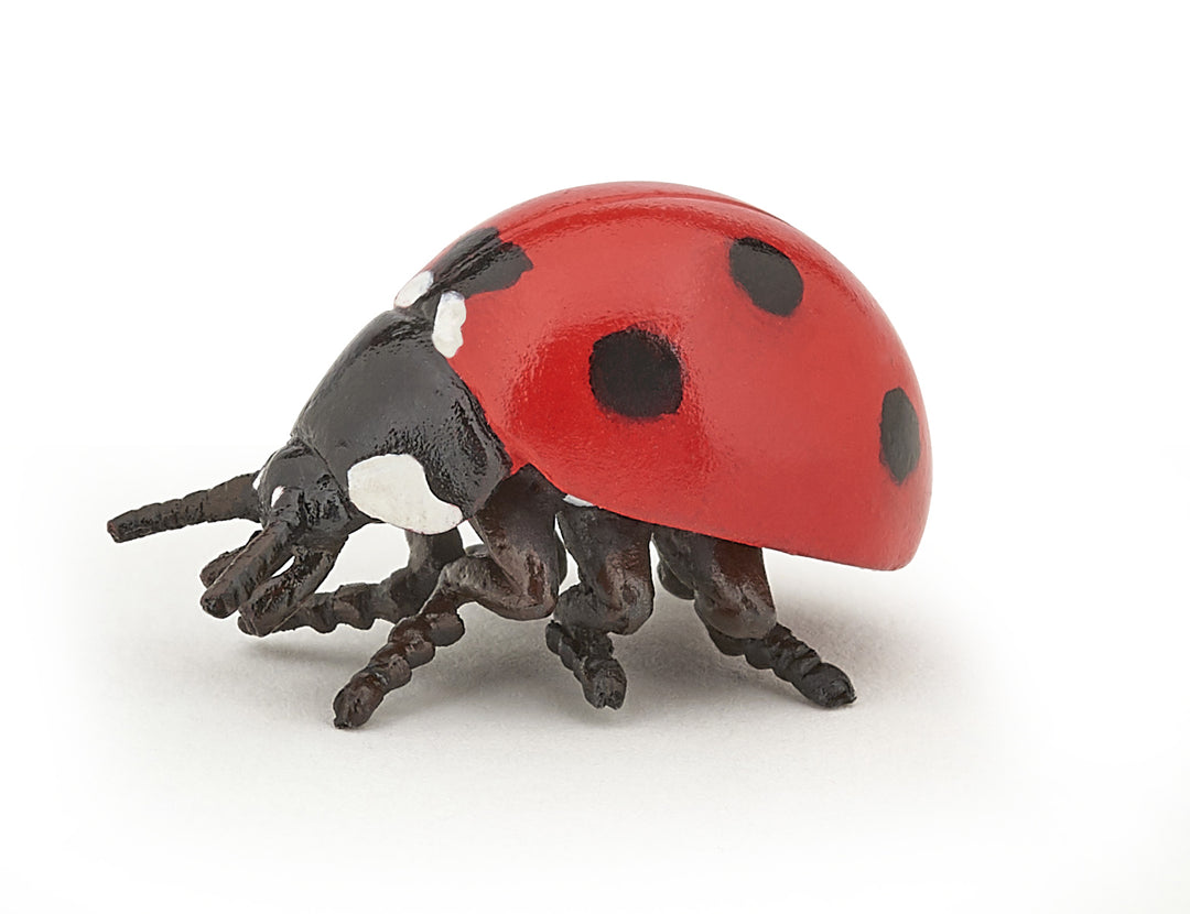 Garden animals: Ladybug 3cm (50257)