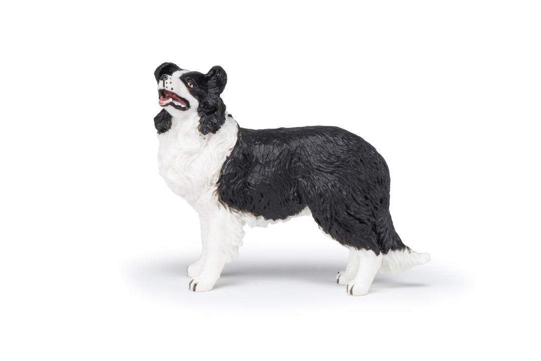 Haustiere : Border Collie  10 cm (54008)