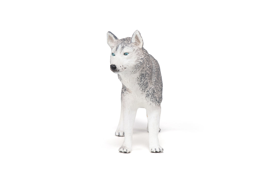 Haustiere : Siberian Husky 10 cm (54035)