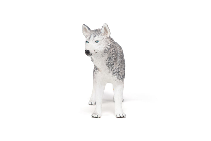 Haustiere : Siberian Husky 10 cm (54035)