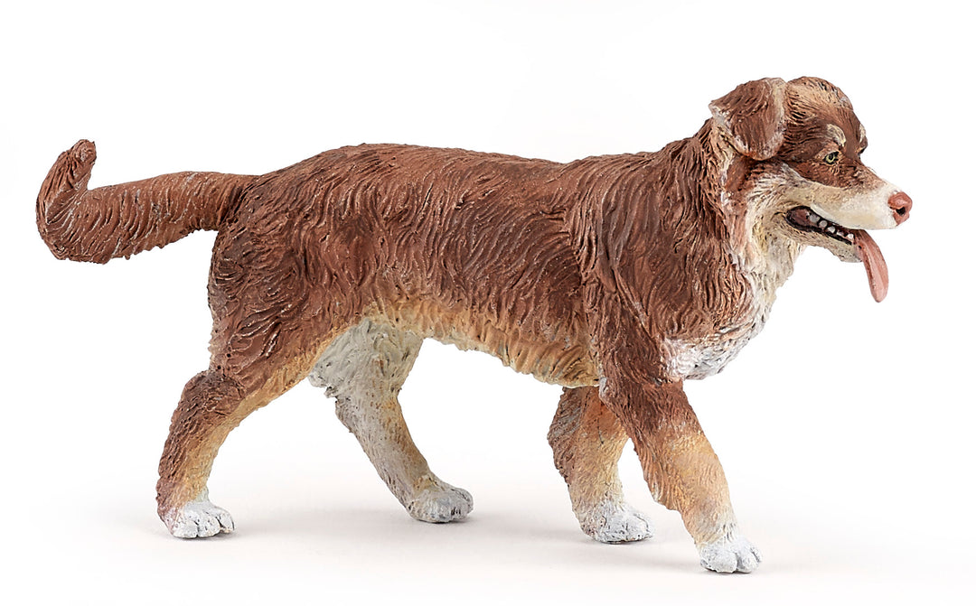 Haustiere : Australian Shepherd 11 cm (54038)