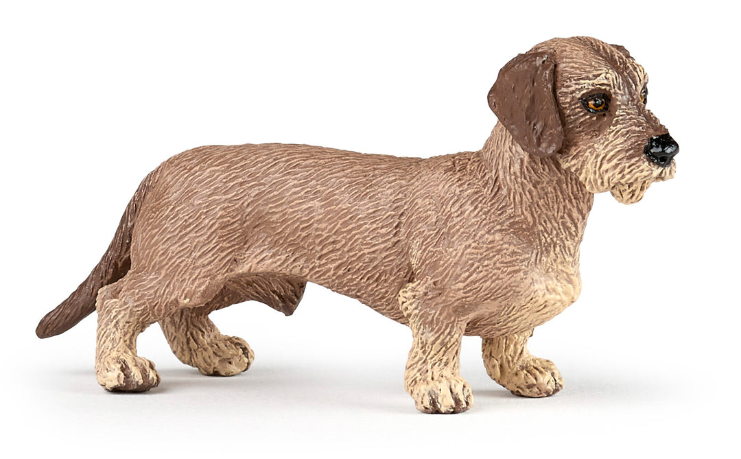 Haustiere : Dachshund 8 cm (54043)