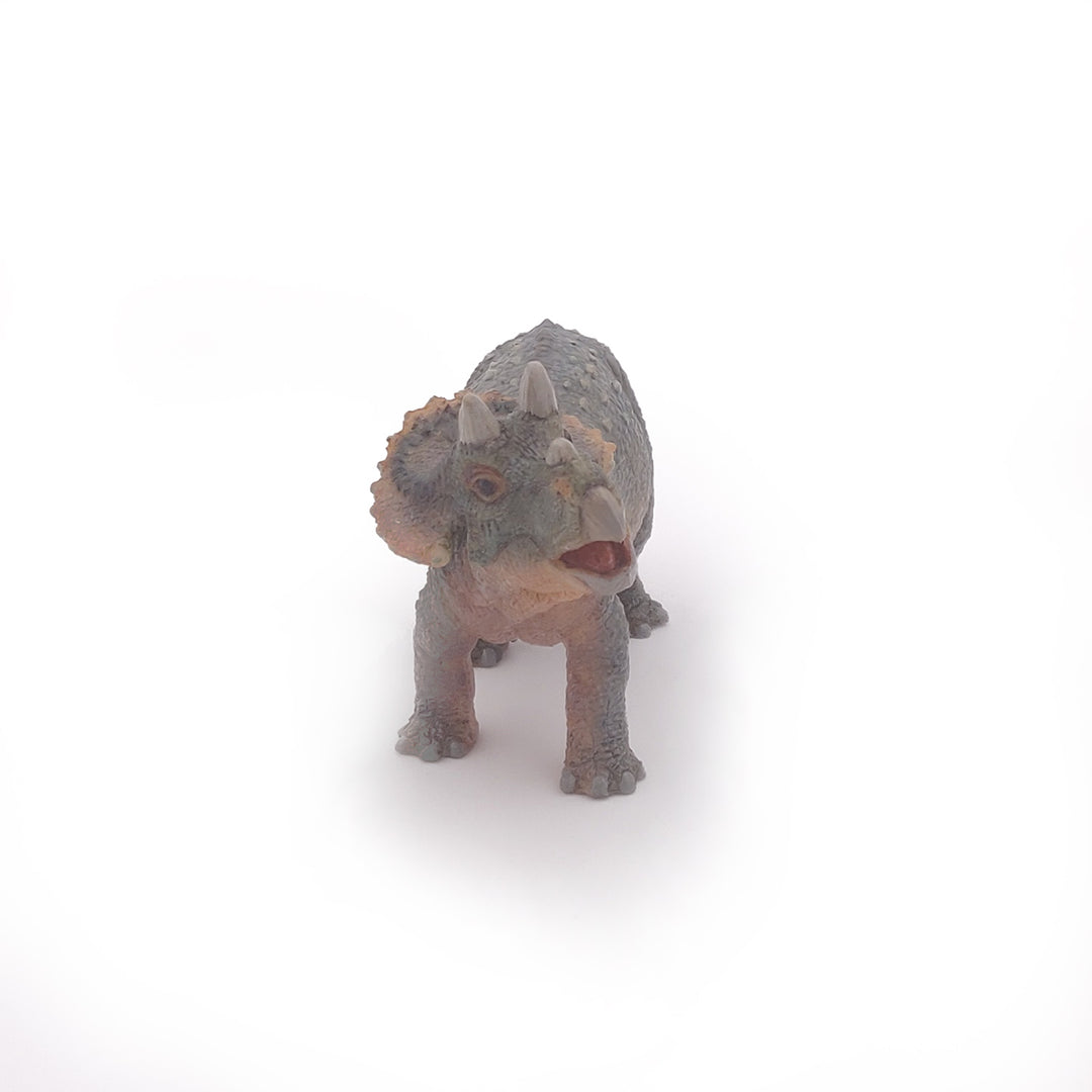 Dinosaurier: Junger Triceratops 11 cm (55036)