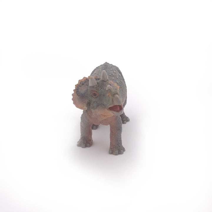 Dinosaurier: Junger Triceratops 11 cm (55036)