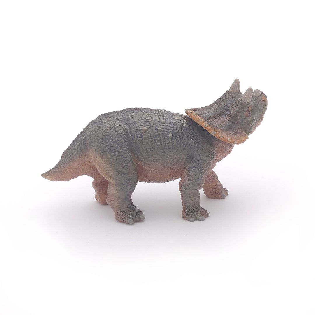Dinosaurier: Junger Triceratops 11 cm (55036)