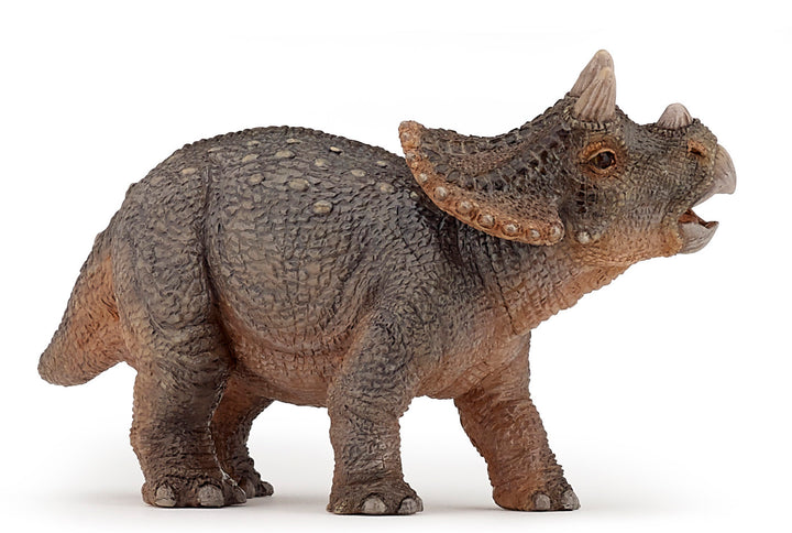 Dinosaurier: Junger Triceratops 11 cm (55036)