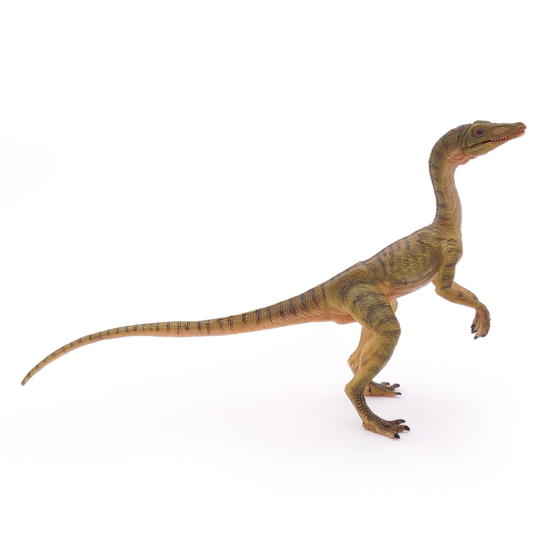 Dinosaur: Compsognathus 15 cm (55072)