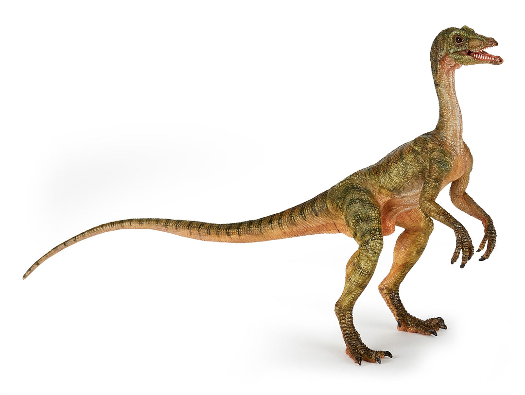 Dinosaur: Compsognathus 15 cm (55072)