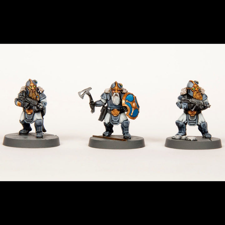 Death Fields „Einherjar“ Wargames Atlantic | 28mm | RPG | Boneshop