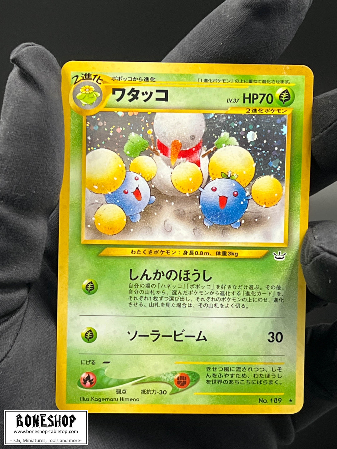 Pokemon „Jumpluff“ Holo | Neo Revelation 