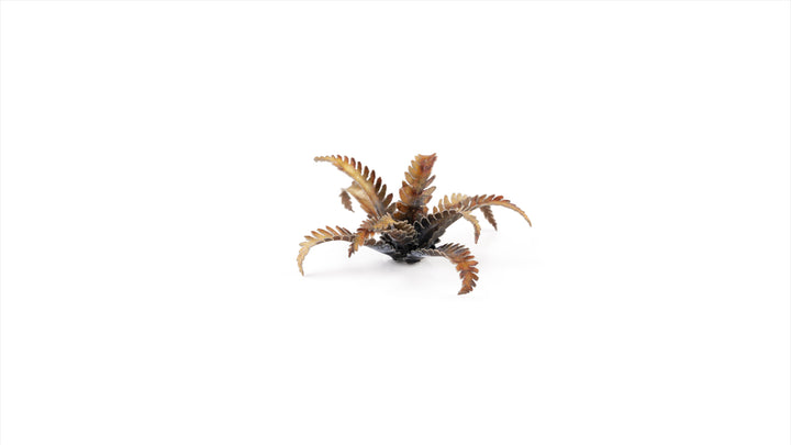 Laser Plants : Alien Fern
