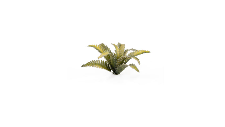 Laser Plants : Deer Fern