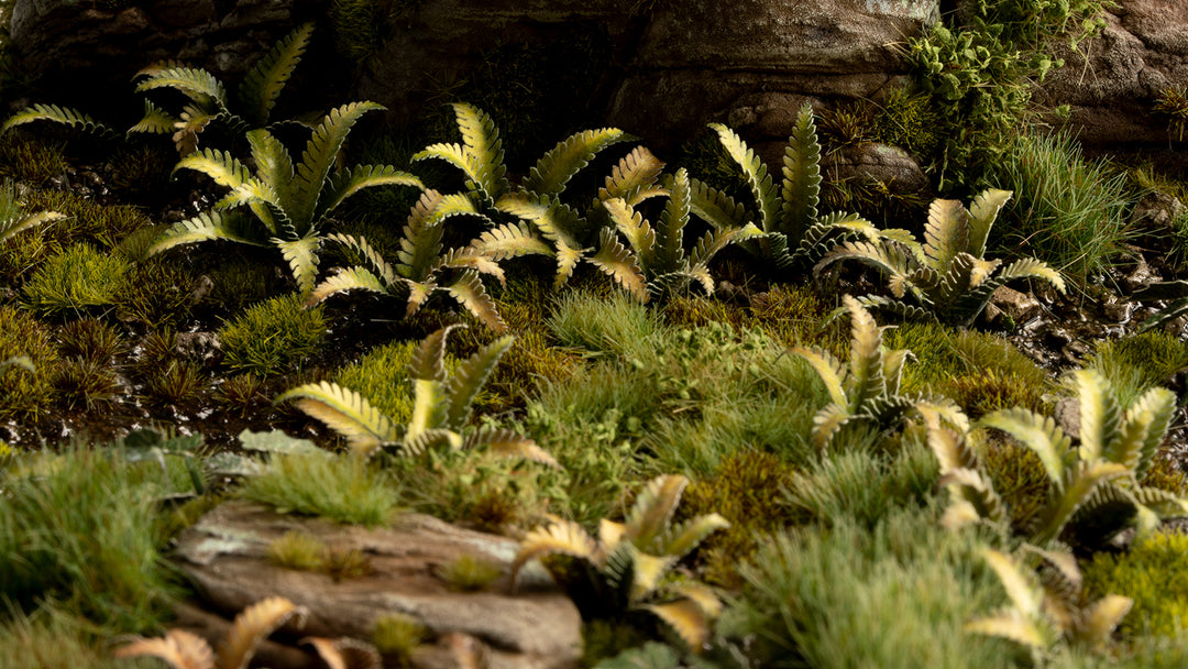 Laser Plants : Deer Fern