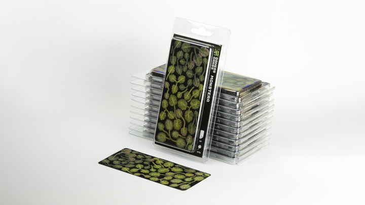 Laser Plants : Monstera