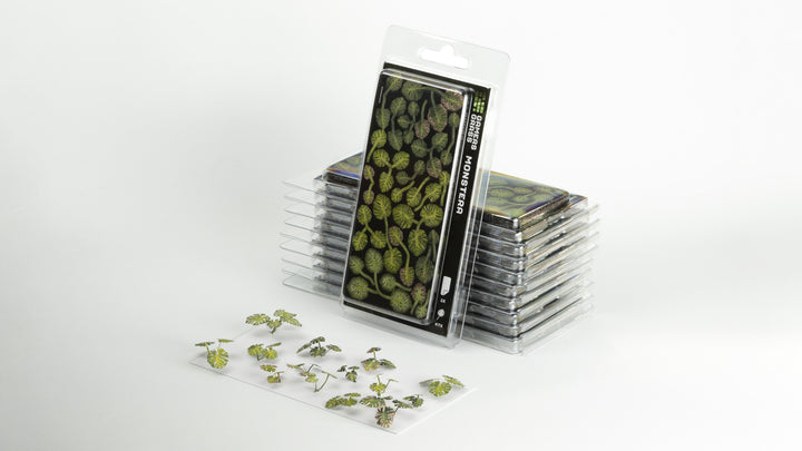 Laser Plants : Monstera